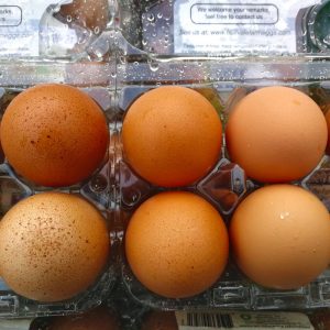 Box 6 Eggs